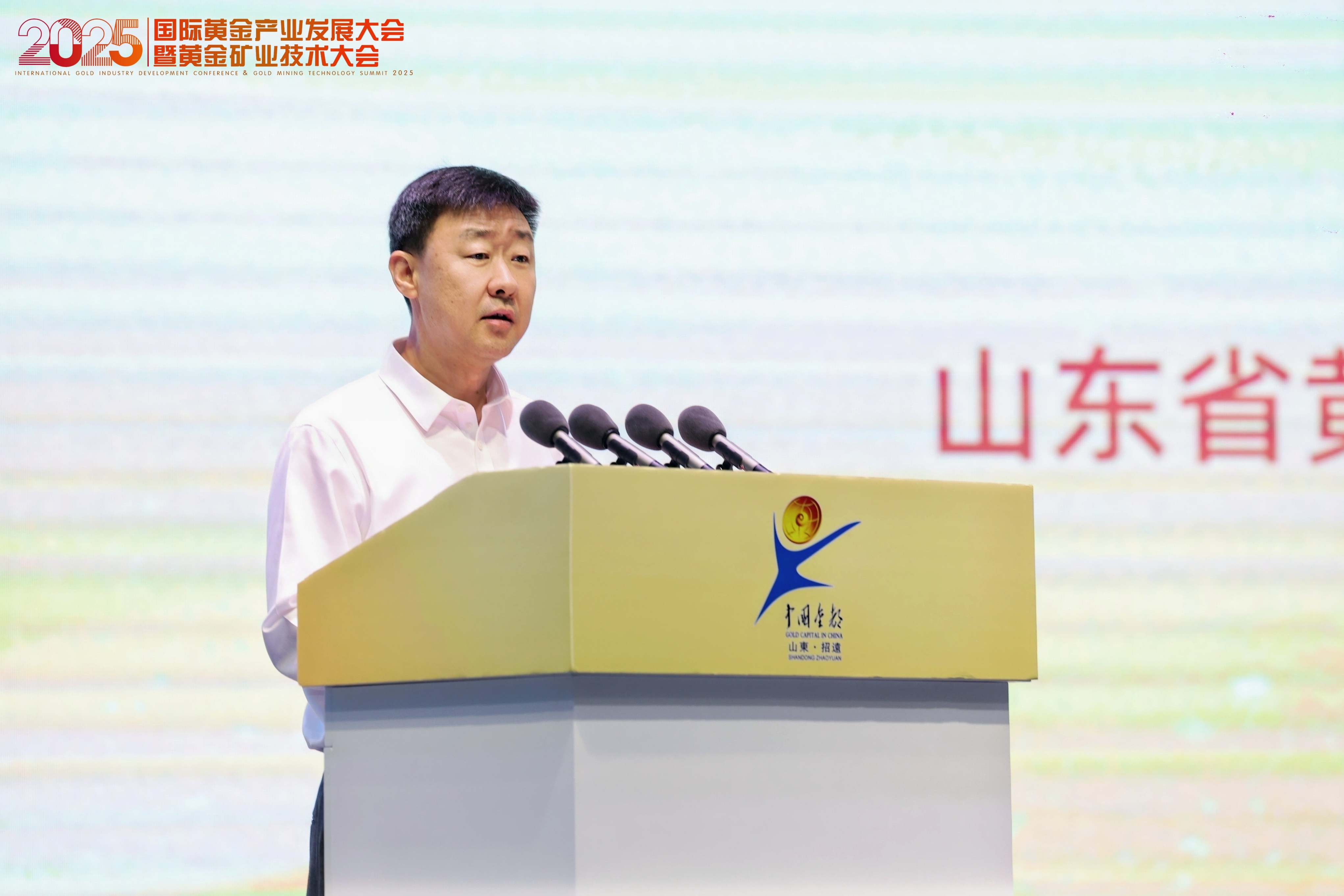 张晓海应邀加入2025国际pp电子工业生长大会并致辞